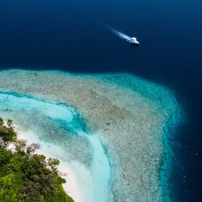 1-Tropical-Boat-Trips-&-Resort-Stays <b>Tropical Resorts & Boat stays</b><br> Maldives · Mauritius · Indonesia