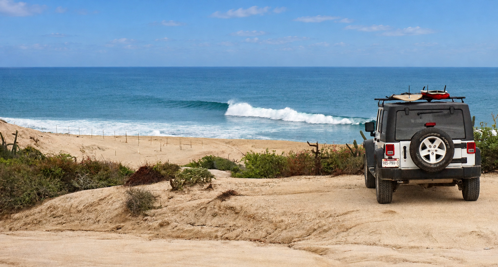 Your Private Surf Guide in Los Cabos